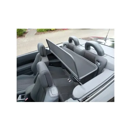 Wind deflector for Renault Megane 2 (2004-2011)
